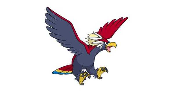 《宝可梦：剑/盾》铠之孤岛勇士雄鹰图鉴