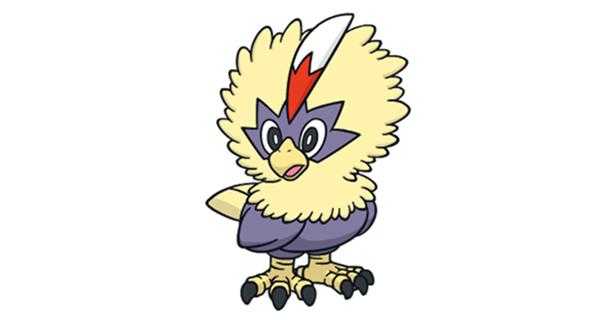 《宝可梦：剑/盾》铠之孤岛毛头小鹰图鉴