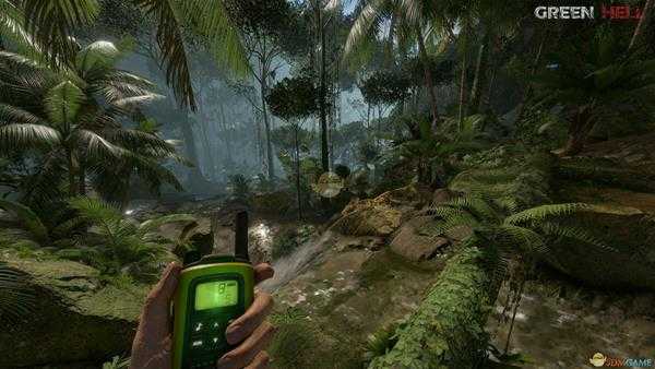 《绿色地狱》食物中毒危害及处理方法分享