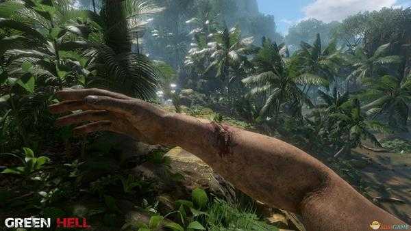 《绿色地狱》蠕虫危害及解决方法分享