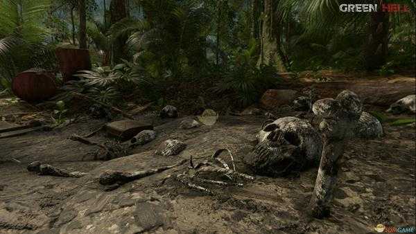 《绿色地狱》种植播种类型介绍