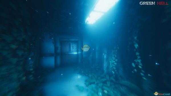 《绿色地狱》四维简单介绍