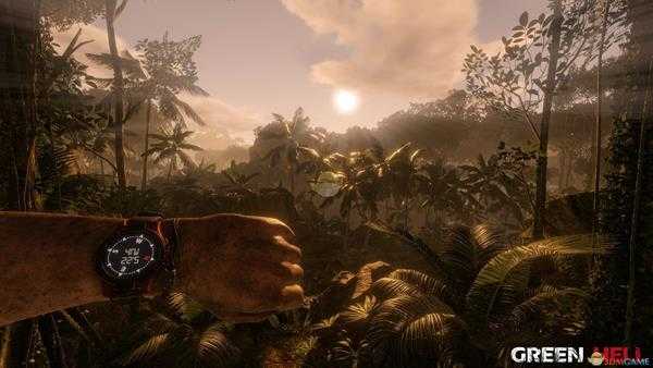 《绿色地狱》大型种植箱可种植植物介绍