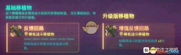 《欺诈之地》萨儿反馈回路介绍