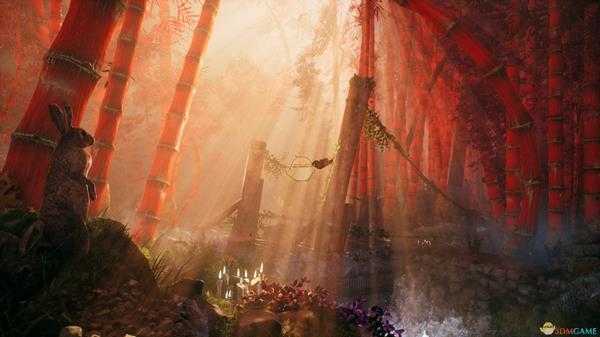 《影子武士3》背景故事介绍