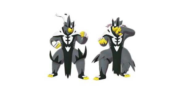 《宝可梦：剑/盾》铠之孤岛武道熊师图鉴