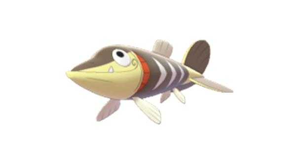 《宝可梦：剑/盾》铠之孤岛刺梭鱼图鉴