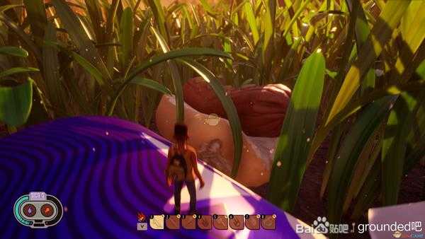 《Grounded》热狗刷新位置介绍