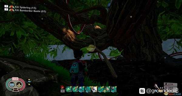 《Grounded》鸟浴台位置介绍