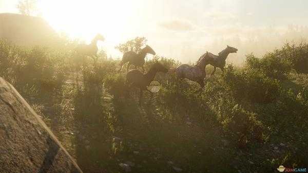 《荒野大镖客2》沙漠栖息地全动物一览