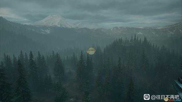 《往日不再》pc版流畅画质设置