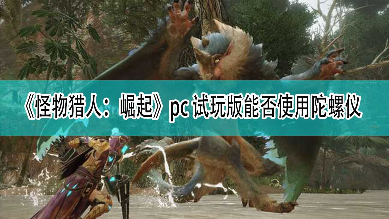 《怪物猎人:崛起》pc试玩版能否使用陀螺仪