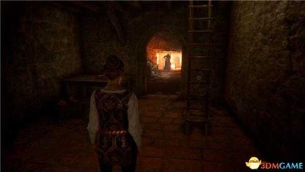 《瘟疫传说：无罪》图文全收集攻略 全礼物珍奇植物标本位置