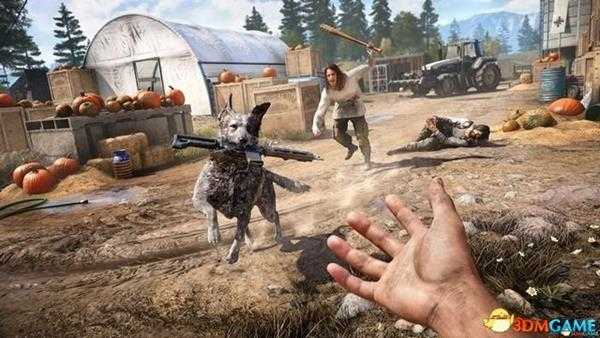 孤岛惊魂5雇佣兵能力 孤岛惊魂5雇佣兵技能解析