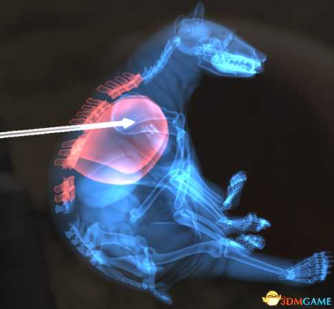 猎人荒野的呼唤个动物秒杀位置介绍