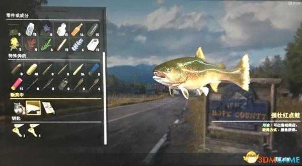 孤岛惊魂5钓鱼图文攻略