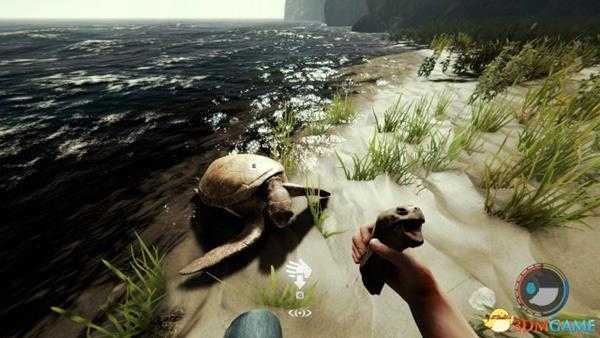 森林各动物分布位置介绍