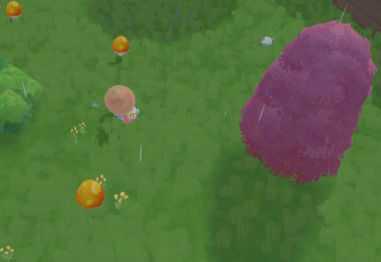 摩尔庄园手游下雨天毛毛菇在哪儿