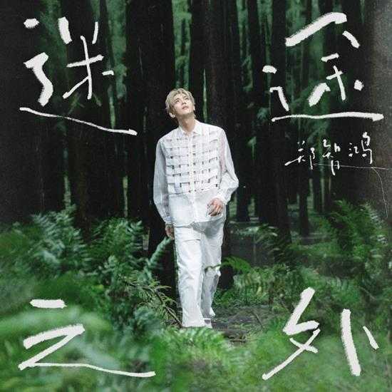 郑智鸿.2024-迷途之外【黑籁音乐】【FLAC分轨】 郑智鸿.2024-迷途之外【黑籁音乐】【FLAC分轨】