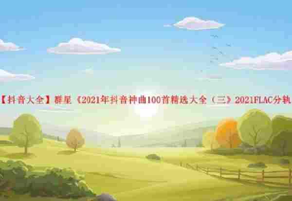 【抖音大全】群星《2021年抖音神曲100首精选大全(三》2021FLAC分轨
