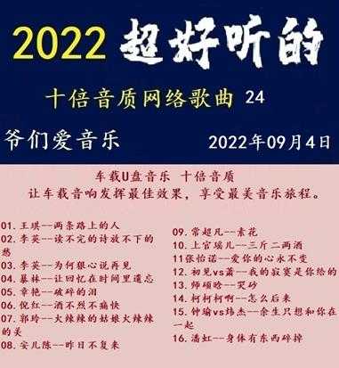 群星《2022超好听的十倍音质网络歌曲(24)》WAV分轨