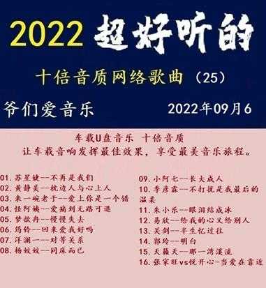 群星《2022超好听的十倍音质网络歌曲(25)》WAV分轨