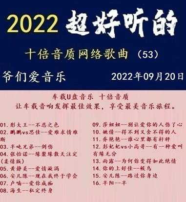 群星《2022超好听的十倍音质网络歌曲(53)》WAV分轨