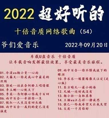 群星《2022超好听的十倍音质网络歌曲(54)》WAV分轨