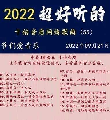 群星《2022超好听的十倍音质网络歌曲(55)》WAV分轨