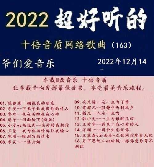 群星《2022超好听的十倍音质网络歌曲(163)》WAV分轨
