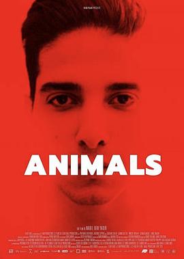动物 Animals