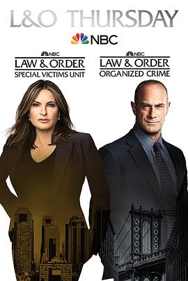 法律与秩序：特殊受害者 第二十三季 Law and Order: Special Victims Unit Season 23