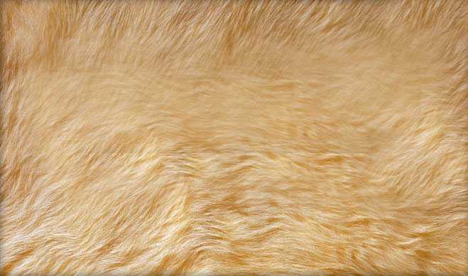 Photoshop 打造带有浮雕效果的毛笔字