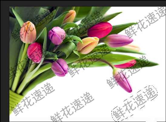 ps去水印教程:PS怎么完美清除铺满图片的水印?