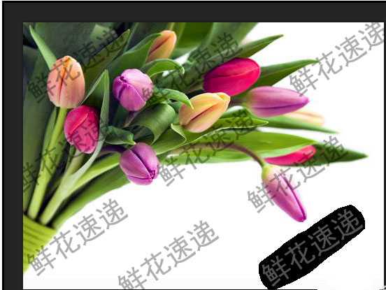 ps去水印教程:PS怎么完美清除铺满图片的水印?