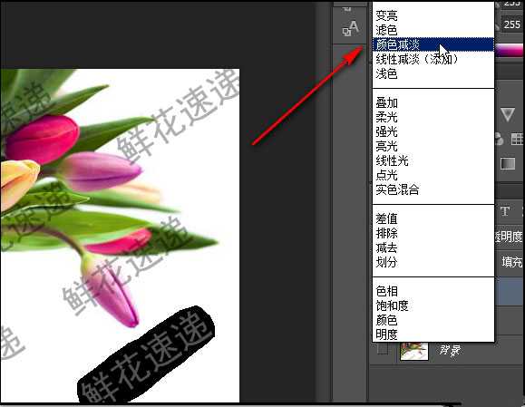 ps去水印教程:PS怎么完美清除铺满图片的水印?