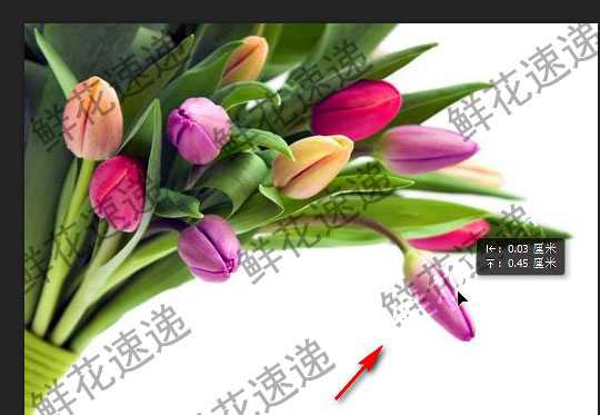 ps去水印教程:PS怎么完美清除铺满图片的水印?