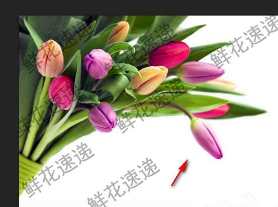 ps去水印教程:PS怎么完美清除铺满图片的水印?