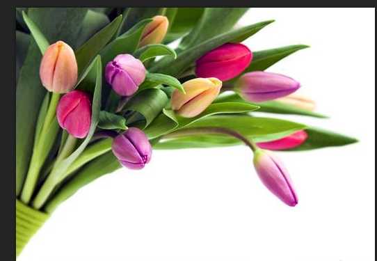 ps去水印教程:PS怎么完美清除铺满图片的水印?