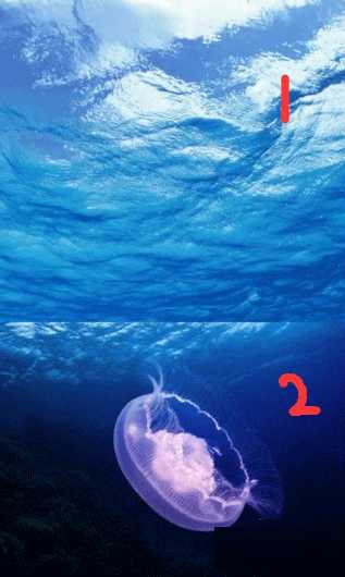 ps图层蒙版的作用是什么?ps图层蒙版的几大用途介绍