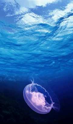 ps图层蒙版的作用是什么?ps图层蒙版的几大用途介绍