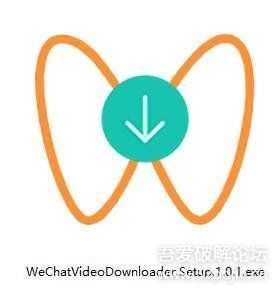 【新版本】微信视频号视频下载利器WeChatVideoDownloader 1.0.1发布，亲测可用