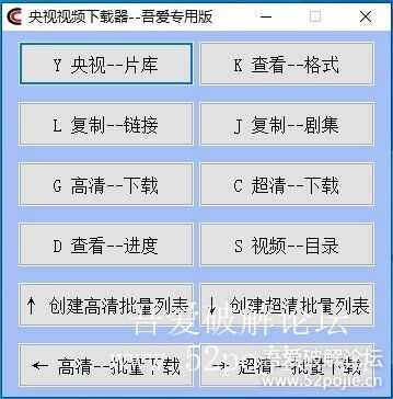 傻瓜版--央视视频下载辅助器-you-get-GUI-v1.0绿色版